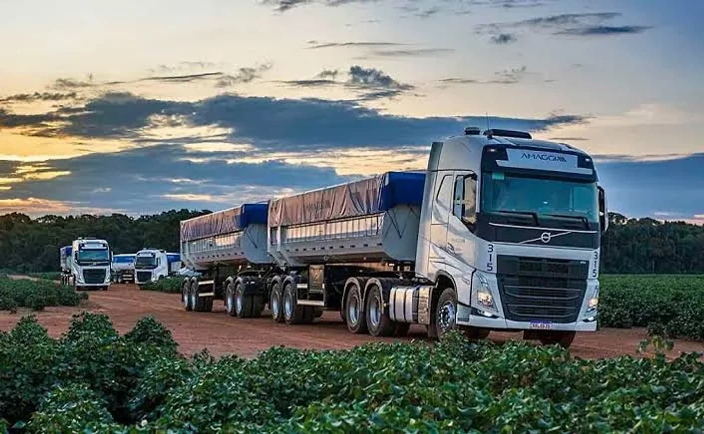 Transporte de Carga